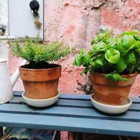 Vila La Casa Di Mo Albisola Superiore Exteriér fotografie