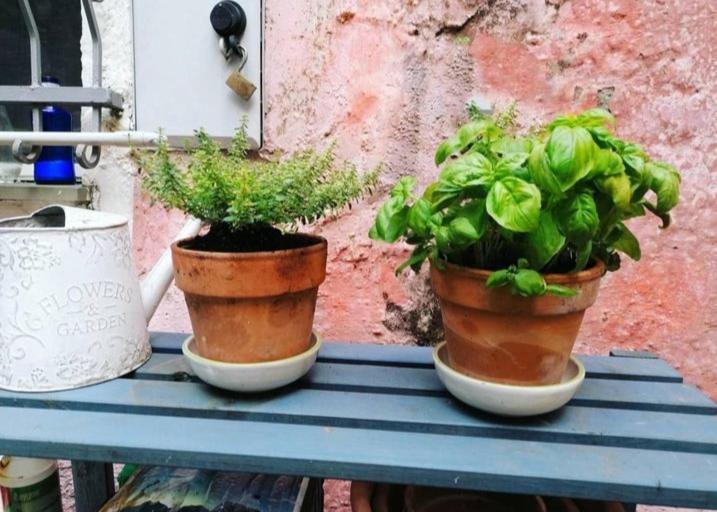 Vila La Casa Di Mo Albisola Superiore Exteriér fotografie