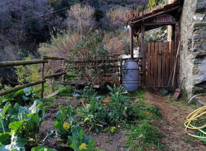 Vila La Casa Di Mo Albisola Superiore Exteriér fotografie